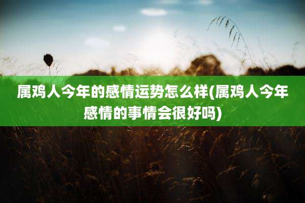 属鸡人今年的感情运势怎么样(属鸡人今年感情的事情会很好吗)