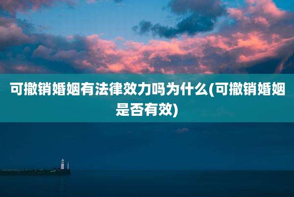 可撤销婚姻有法律效力吗为什么(可撤销婚姻是否有效)