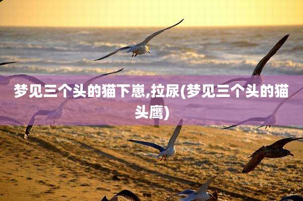 梦见三个头的猫下崽,拉尿(梦见三个头的猫头鹰)