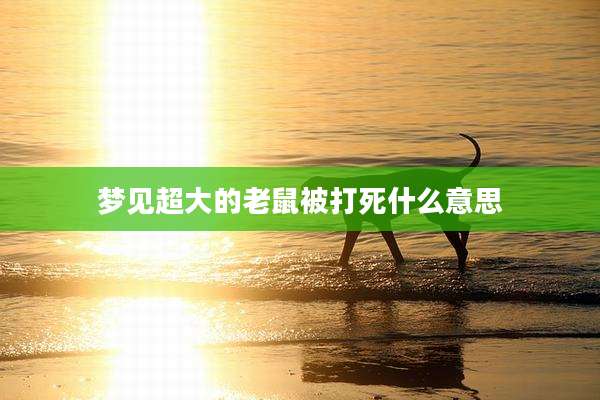 梦见超大的老鼠被打死什么意思