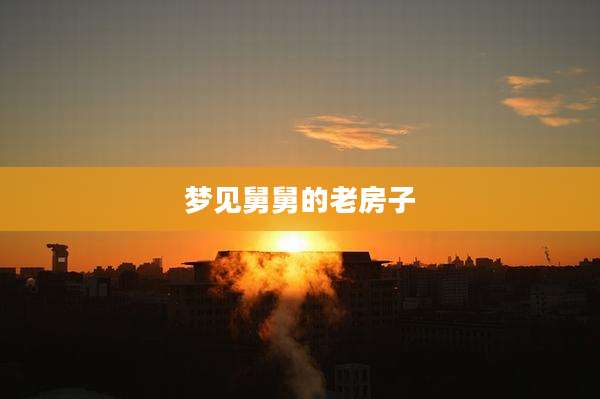 梦见舅舅的老房子