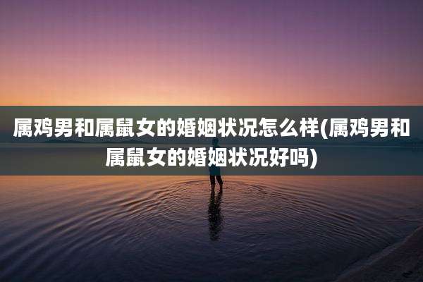 属鸡男和属鼠女的婚姻状况怎么样(属鸡男和属鼠女的婚姻状况好吗)