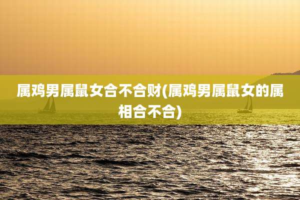 属鸡男属鼠女合不合财(属鸡男属鼠女的属相合不合)