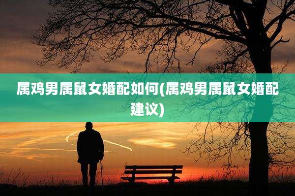 属鸡男属鼠女婚配如何(属鸡男属鼠女婚配建议)