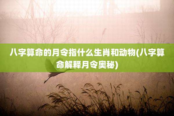 八字算命的月令指什么生肖和动物(八字算命解释月令奥秘)
