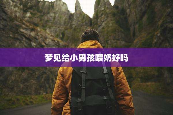 梦见给小男孩喂奶好吗
