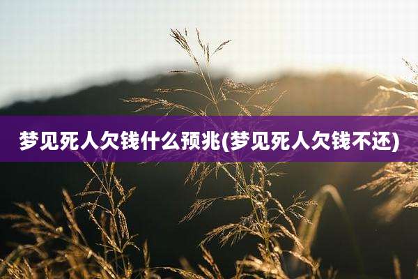 梦见死人欠钱什么预兆(梦见死人欠钱不还)