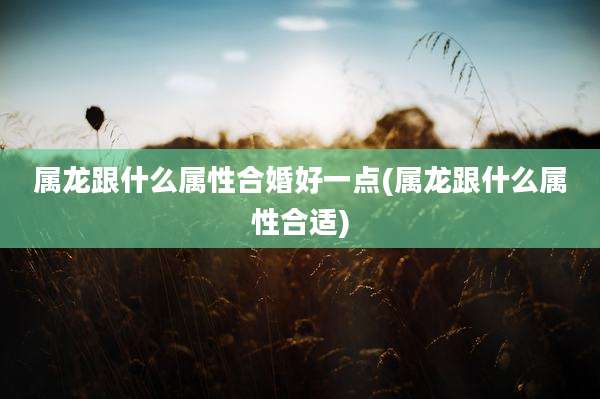 属龙跟什么属性合婚好一点(属龙跟什么属性合适)