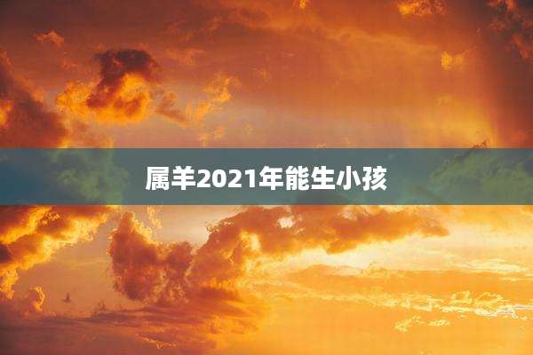 属羊2021年能生小孩