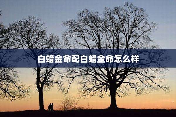 白蜡金命配白蜡金命怎么样