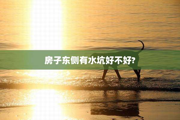 房子东侧有水坑好不好?