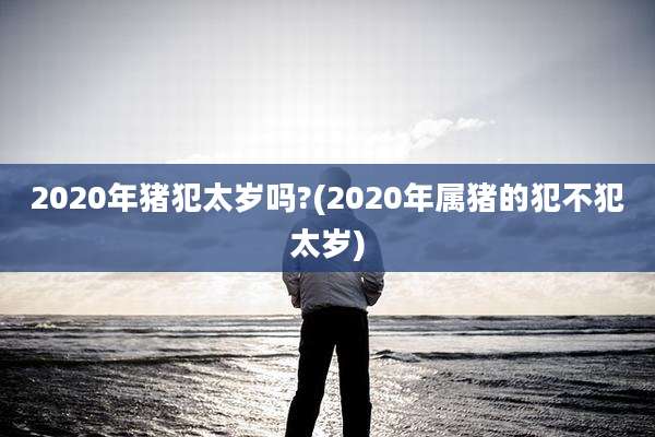 2020年猪犯太岁吗?(2020年属猪的犯不犯太岁)