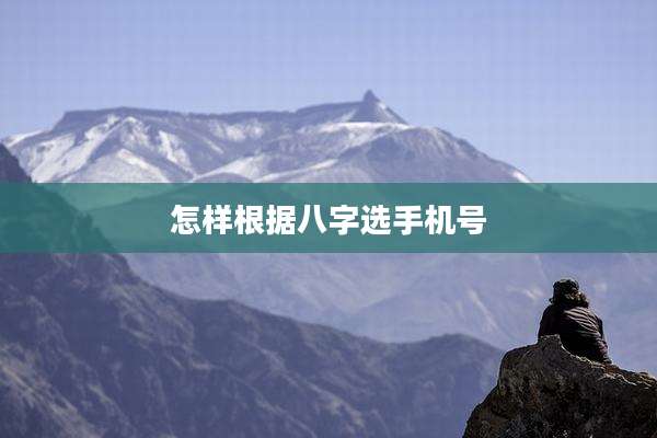 怎样根据八字选手机号