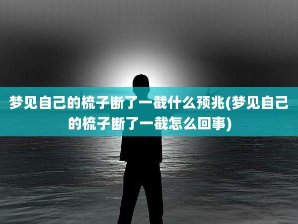梦见自己的梳子断了一截什么预兆(梦见自己的梳子断了一截怎么回事)
