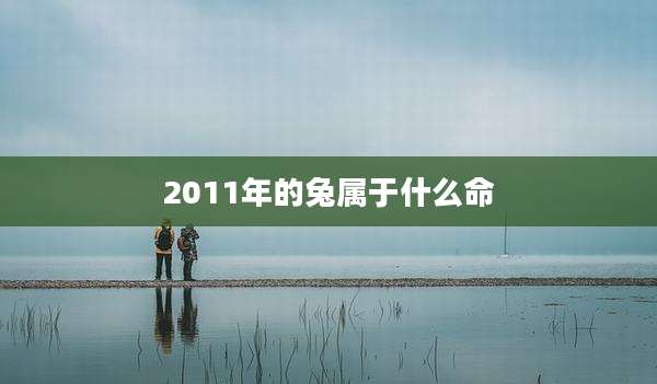 2011年的兔属于什么命