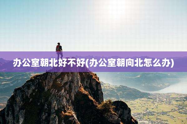 办公室朝北好不好(办公室朝向北怎么办)