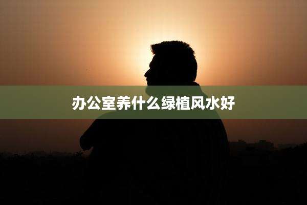 办公室养什么绿植风水好