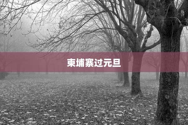 柬埔寨过元旦