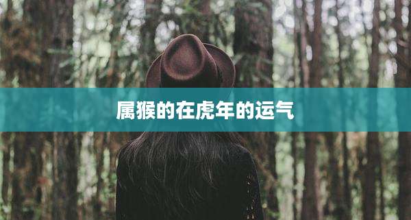 属猴的在虎年的运气