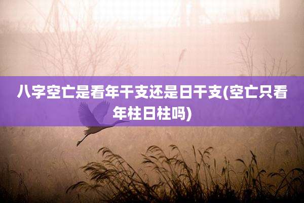 八字空亡是看年干支还是日干支(空亡只看年柱日柱吗)