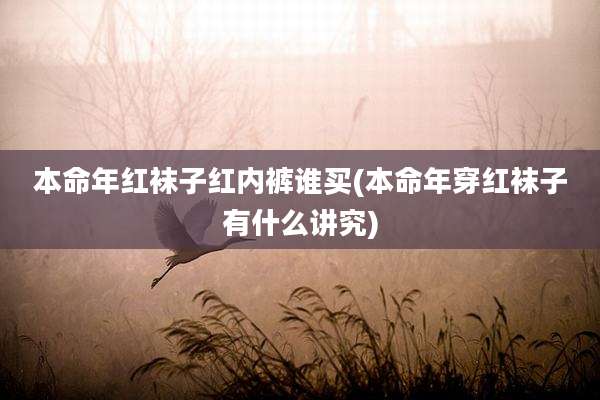 本命年红袜子红内裤谁买(本命年穿红袜子有什么讲究)