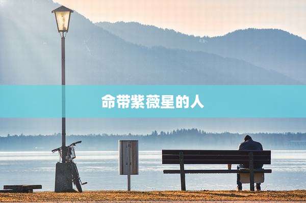 命带紫薇星的人