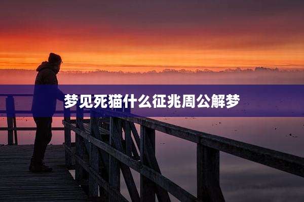 梦见死猫什么征兆周公解梦