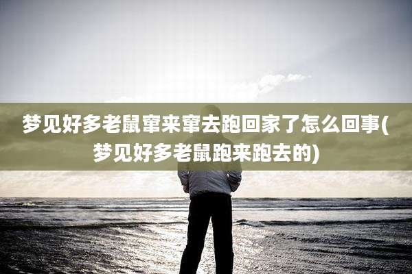 梦见好多老鼠窜来窜去跑回家了怎么回事(梦见好多老鼠跑来跑去的)