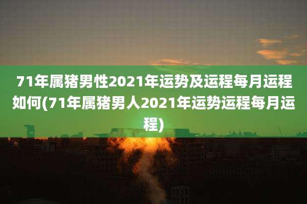 71年属猪男性2021年运势及运程每月运程如何(71年属猪男人2021年运势运程每月运程)
