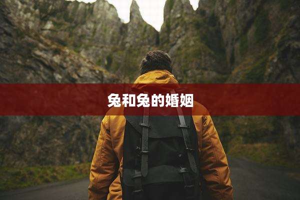 兔和兔的婚姻