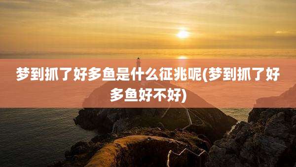 梦到抓了好多鱼是什么征兆呢(梦到抓了好多鱼好不好)