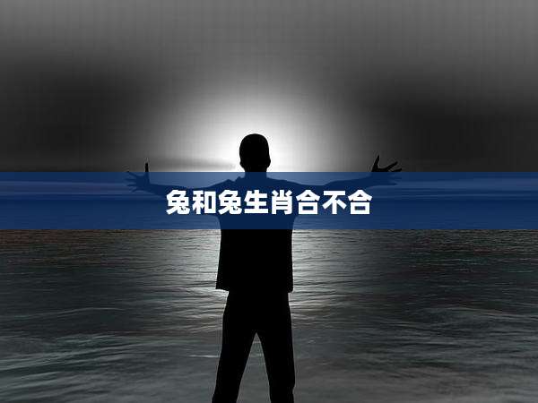 兔和兔生肖合不合
