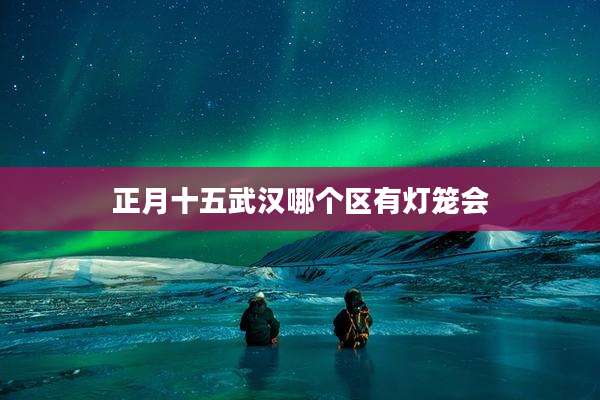 正月十五武汉哪个区有灯笼会
