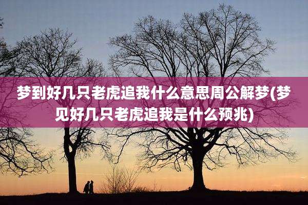 梦到好几只老虎追我什么意思周公解梦(梦见好几只老虎追我是什么预兆)