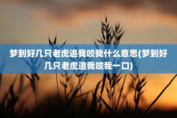 梦到好几只老虎追我咬我什么意思(梦到好几只老虎追我咬我一口)
