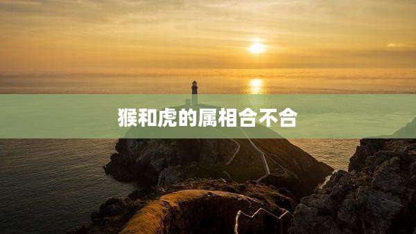 猴和虎的属相合不合