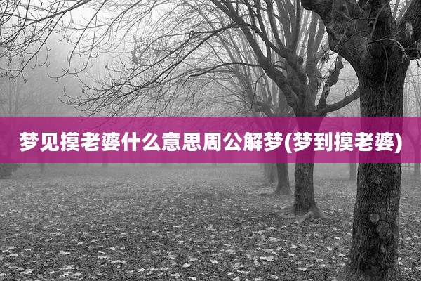 梦见摸老婆什么意思周公解梦(梦到摸老婆)