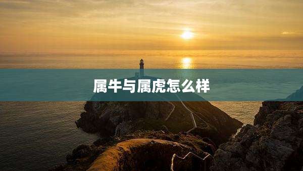 属牛与属虎怎么样