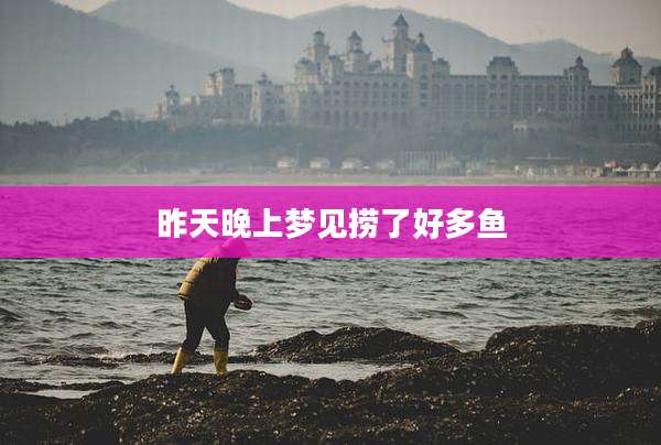 昨天晚上梦见捞了好多鱼