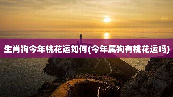 生肖狗今年桃花运如何(今年属狗有桃花运吗)