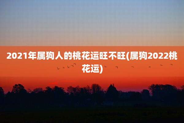 2021年属狗人的桃花运旺不旺(属狗2022桃花运)