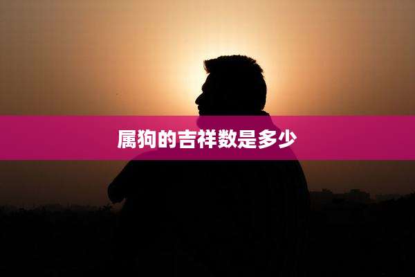 属狗的吉祥数是多少