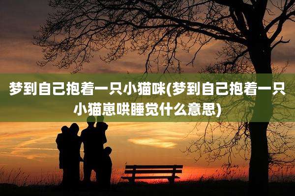 梦到自己抱着一只小猫咪(梦到自己抱着一只小猫崽哄睡觉什么意思)