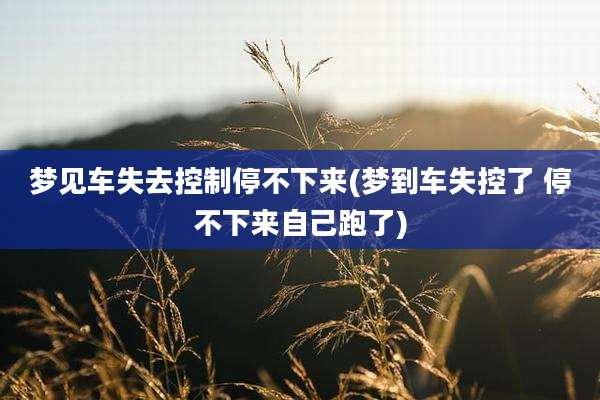 梦见车失去控制停不下来(梦到车失控了 停不下来自己跑了)