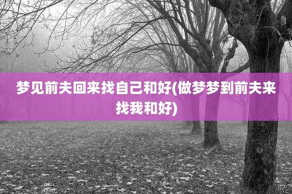 梦见前夫回来找自己和好(做梦梦到前夫来找我和好)