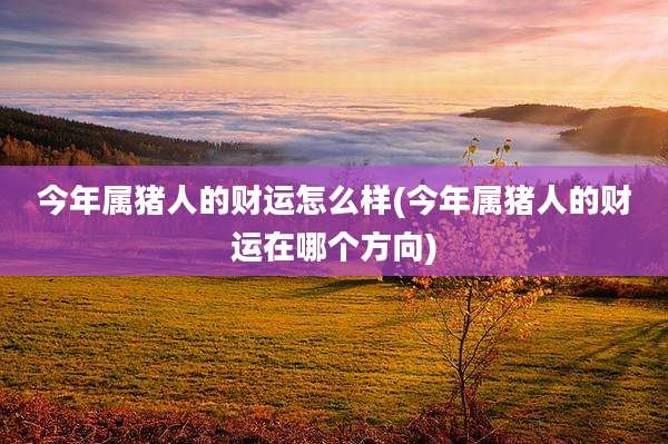 今年属猪人的财运怎么样(今年属猪人的财运在哪个方向)