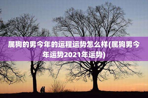 属狗的男今年的运程运势怎么样(属狗男今年运势2021年运势)