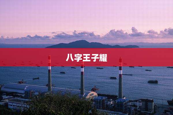 八字王子耀