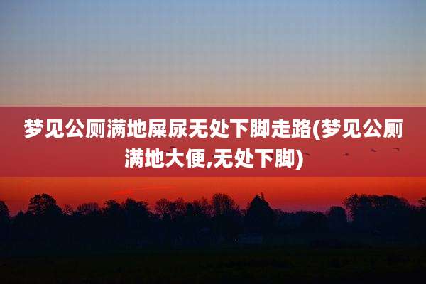梦见公厕满地屎尿无处下脚走路(梦见公厕满地大便,无处下脚)