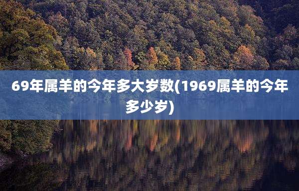 69年属羊的今年多大岁数(1969属羊的今年多少岁)